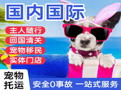 高崎空运地址国际宠物托运 【国